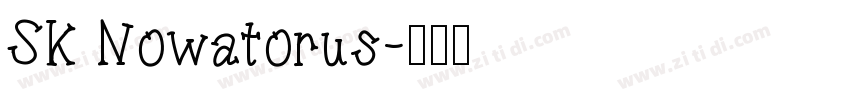 SK Nowatorus字体转换